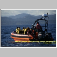 15947 315  Buckelwal Walewatching Victoria Vancouver Island Kanada 2009.jpg